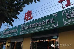 延长有机农特产品直销市场暨电子商务体验区 开启电子产品批发零售新篇章